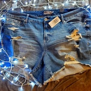 Torrid denim shorts